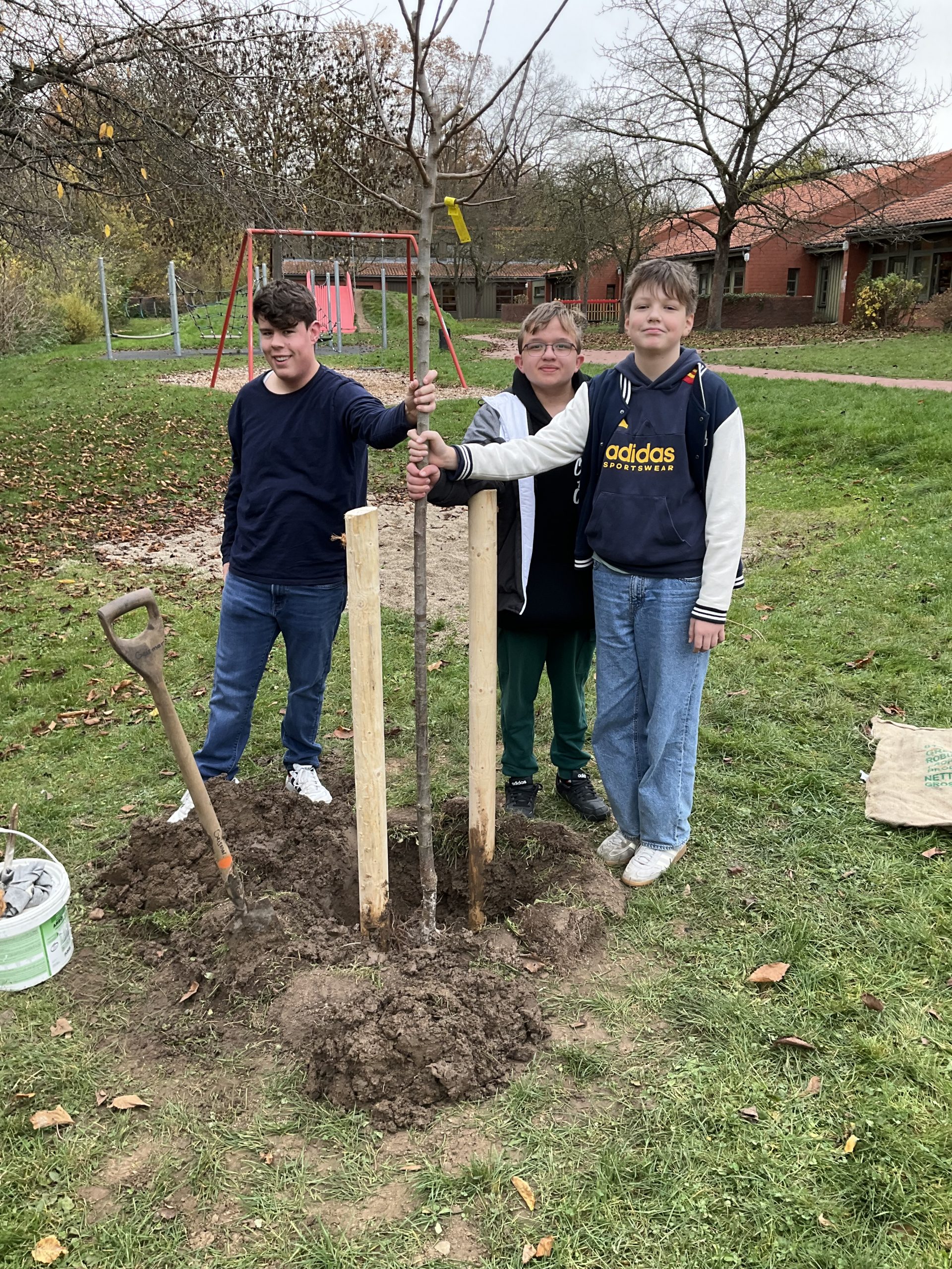 Baumpflanzaktion 2025