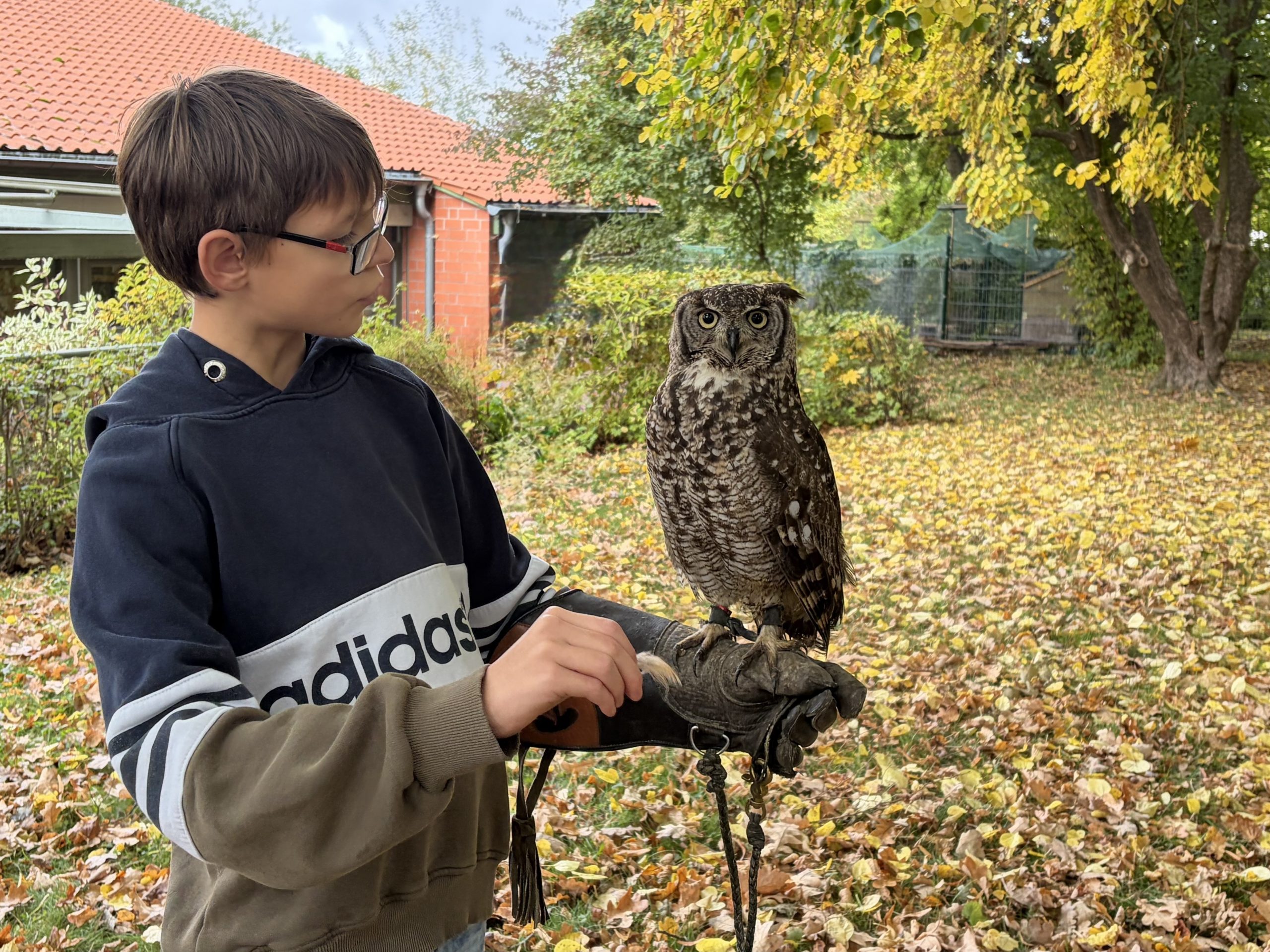 Besuch vom ‚Eulen-Menschen‘